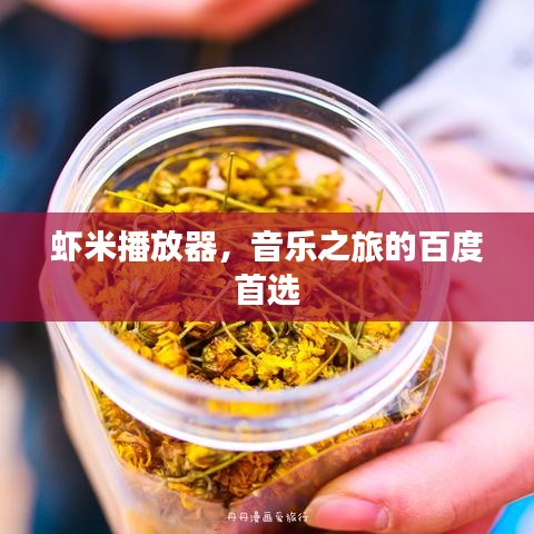 虾米播放器，音乐之旅的百度首选