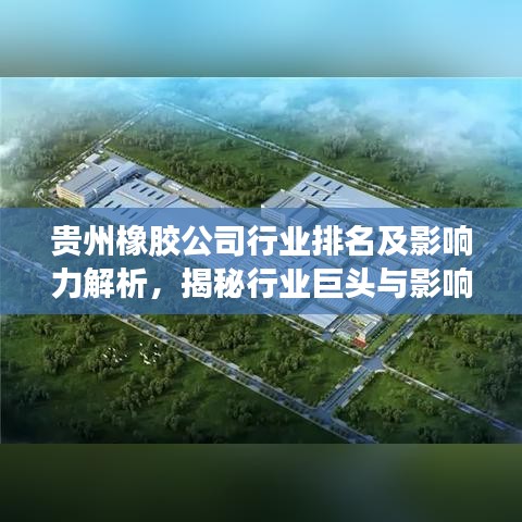 贵州橡胶公司行业排名及影响力解析，揭秘行业巨头与影响力版图！