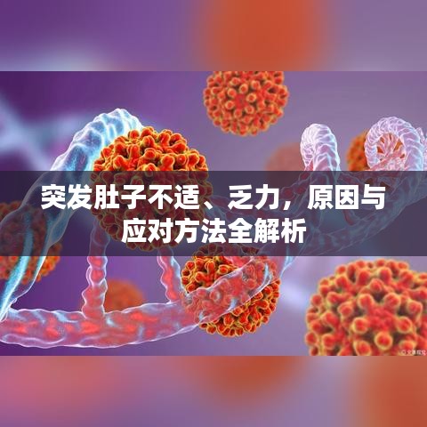 突发肚子不适、乏力，原因与应对方法全解析