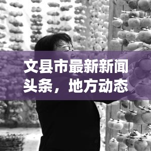 文县市最新新闻头条，地方动态与经济文化发展概览