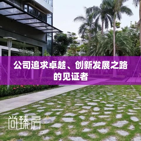 公司追求卓越、创新发展之路的见证者