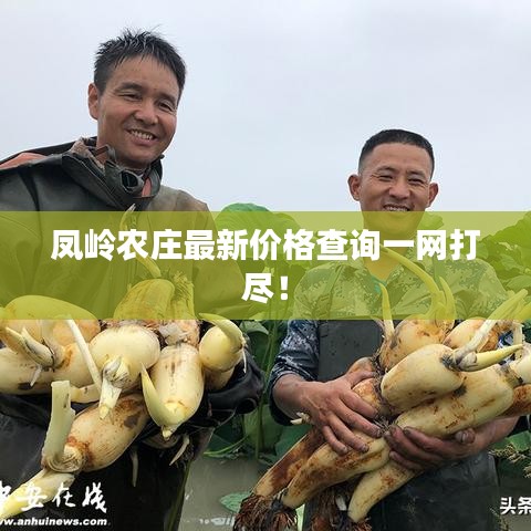 凤岭农庄最新价格查询一网打尽！