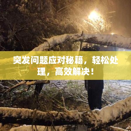 突发问题应对秘籍，轻松处理，高效解决！