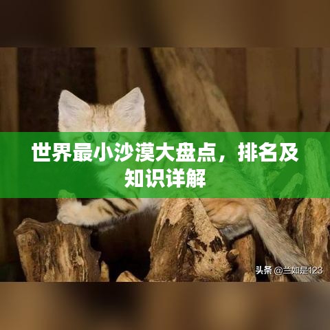 世界最小沙漠大盘点，排名及知识详解