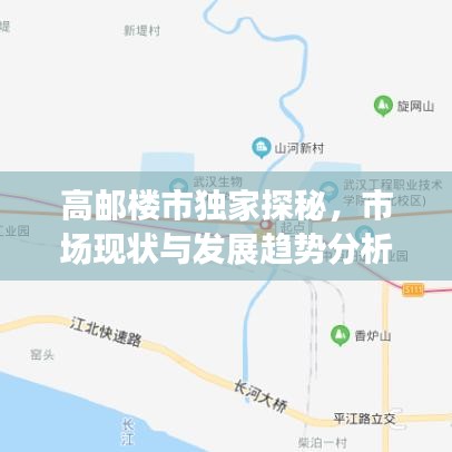 高邮楼市独家探秘，市场现状与发展趋势分析