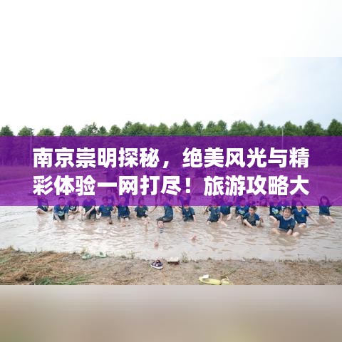 南京崇明探秘，绝美风光与精彩体验一网打尽！旅游攻略大揭秘！