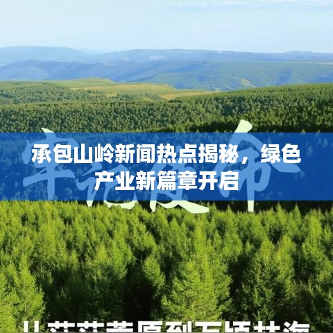 承包山岭新闻热点揭秘，绿色产业新篇章开启