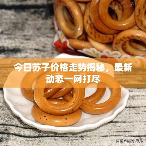今日苏子价格走势揭秘，最新动态一网打尽