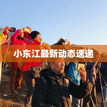 小东江最新动态速递
