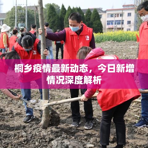 桐乡疫情最新动态，今日新增情况深度解析