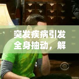 突发疾病引发全身抽动，解析症状与应对之策