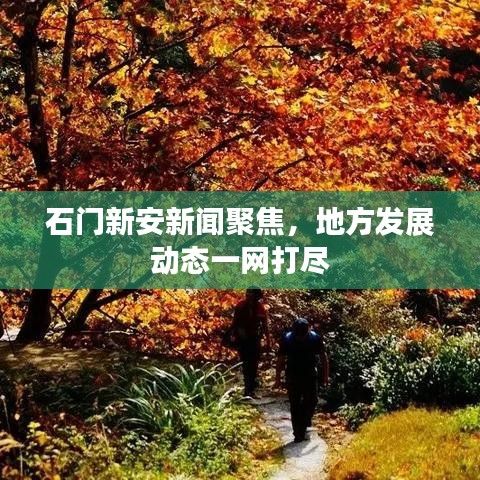 石门新安新闻聚焦，地方发展动态一网打尽
