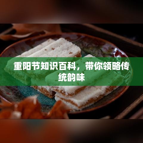 重阳节知识百科，带你领略传统韵味
