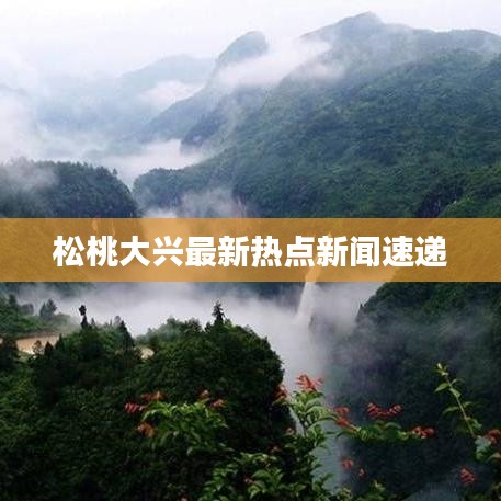 松桃大兴最新热点新闻速递