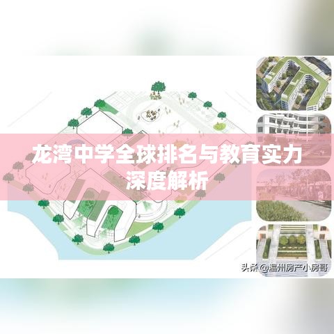 龙湾中学全球排名与教育实力深度解析