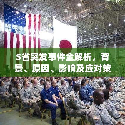 S省突发事件全解析，背景、原因、影响及应对策略