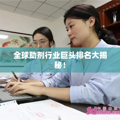 全球助剂行业巨头排名大揭秘！