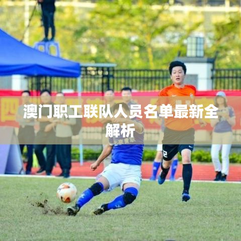 澳门职工联队人员名单最新全解析