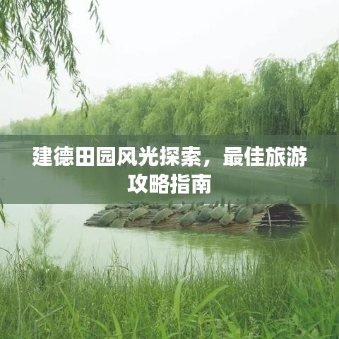 建德田园风光探索，最佳旅游攻略指南