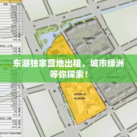 东湖独家营地出租，城市绿洲等你探索！