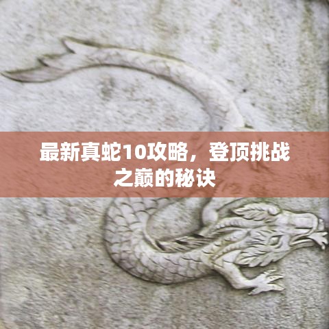 最新真蛇10攻略，登顶挑战之巅的秘诀