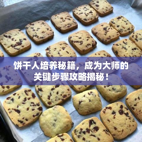 饼干人培养秘籍，成为大师的关键步骤攻略揭秘！