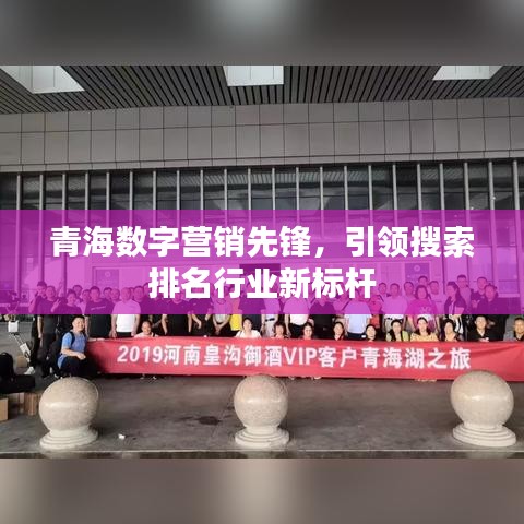 青海数字营销先锋，引领搜索排名行业新标杆