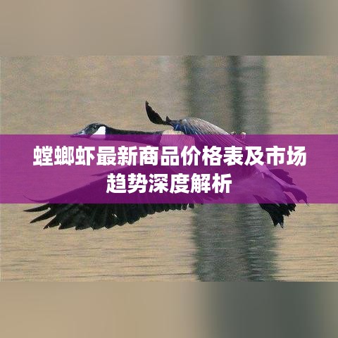 夜以继日