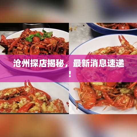 沧州探店揭秘，最新消息速递！
