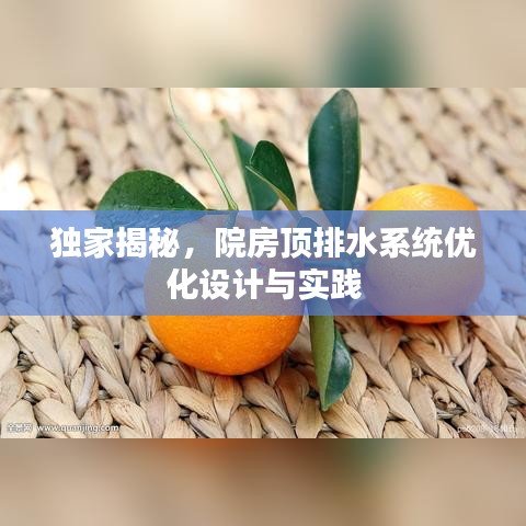独家揭秘，院房顶排水系统优化设计与实践