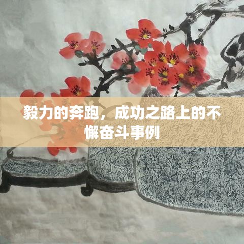 毅力的奔跑，成功之路上的不懈奋斗事例