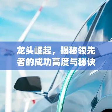 龙头崛起，揭秘领先者的成功高度与秘诀