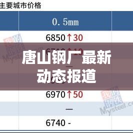 唐山钢厂最新动态报道
