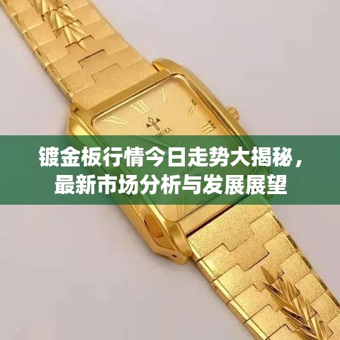镀金板行情今日走势大揭秘，最新市场分析与发展展望
