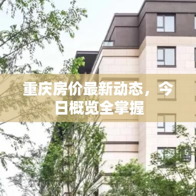 重庆房价最新动态，今日概览全掌握