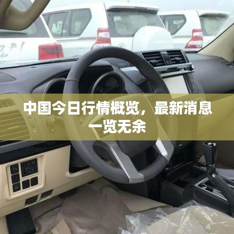 中国今日行情概览，最新消息一览无余