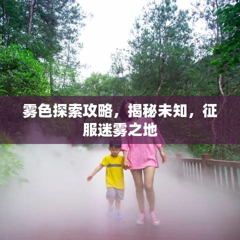 雾色探索攻略，揭秘未知，征服迷雾之地