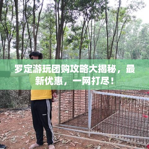 罗定游玩团购攻略大揭秘，最新优惠，一网打尽！