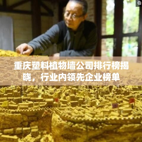 秀外慧中