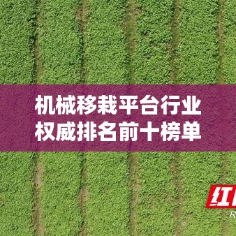 机械移栽平台行业权威排名前十榜单揭晓！