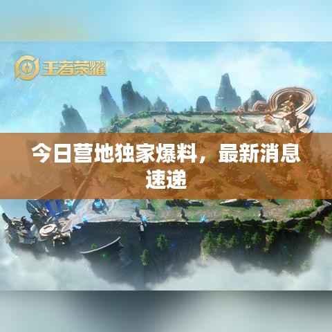 今日营地独家爆料，最新消息速递