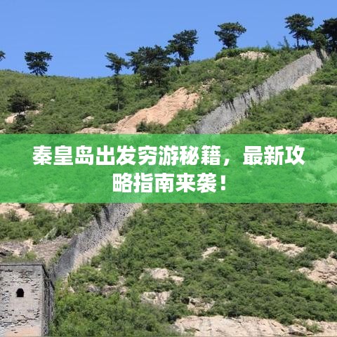 狗尾续貂