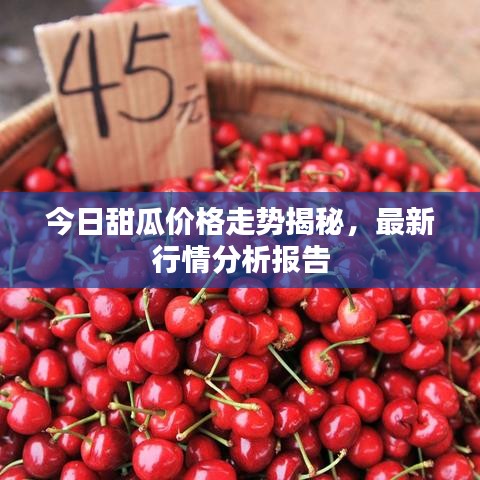 今日甜瓜价格走势揭秘，最新行情分析报告