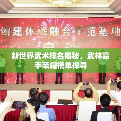 新世界武术排名揭秘，武林高手荣耀榜单探寻