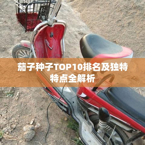 勇往直前