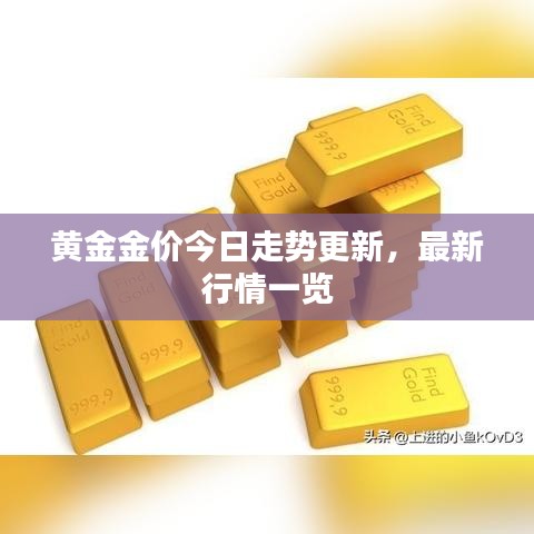 黄金金价今日走势更新，最新行情一览