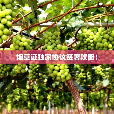 烟草证独家协议签署攻略！