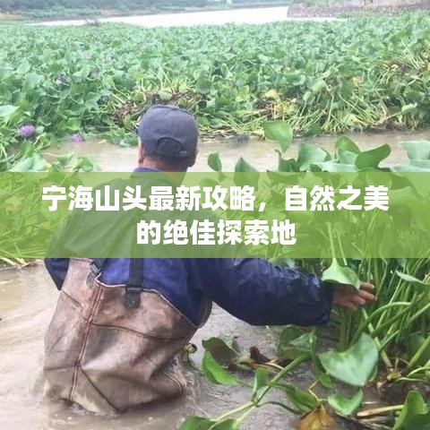 降尊纡贵