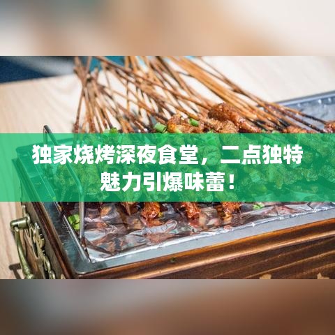 独家烧烤深夜食堂，二点独特魅力引爆味蕾！