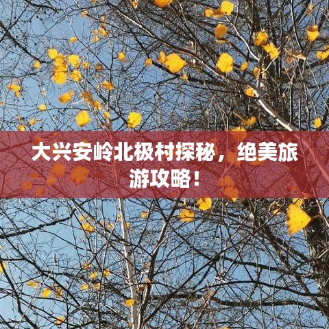 大兴安岭北极村探秘，绝美旅游攻略！